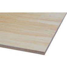 2440 x 1220  Elliotis C+/C Plywood