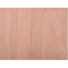 2440 x 1220 Hardwood Face Plywood